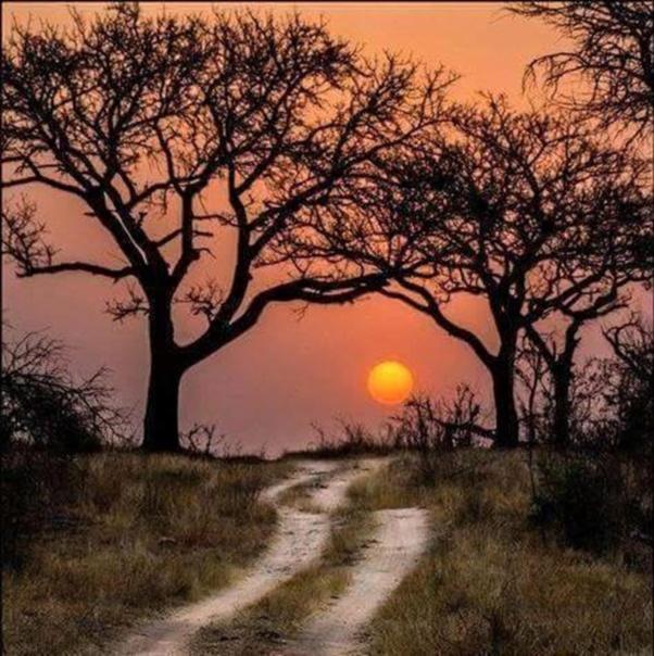 Weltevreden Game Lodge Bloemfontein Dış mekan fotoğraf