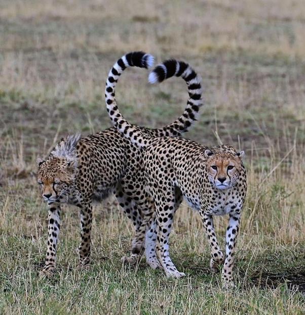 Weltevreden Game Lodge Bloemfontein Dış mekan fotoğraf