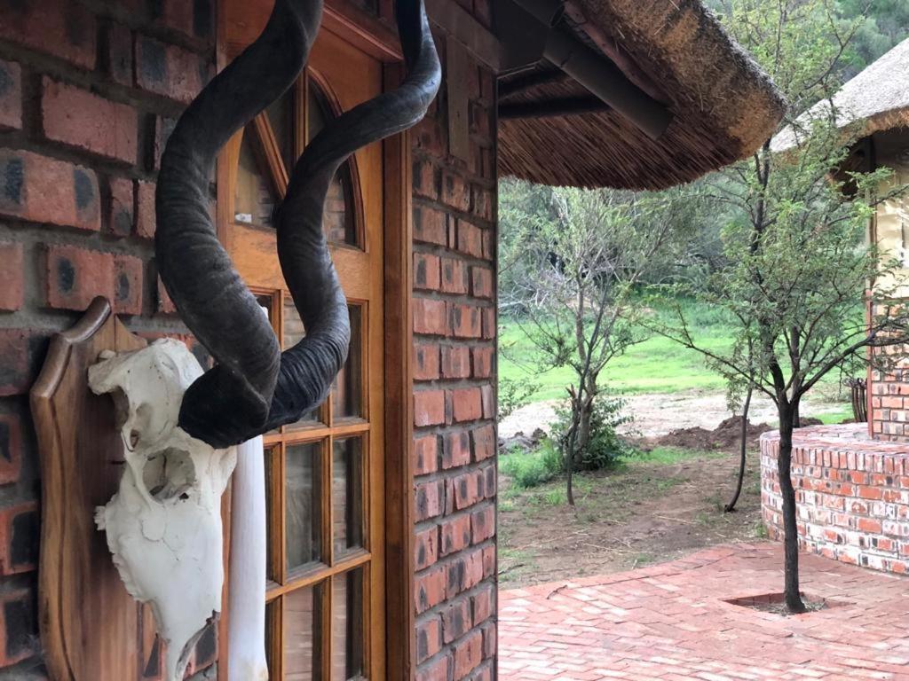 Weltevreden Game Lodge Bloemfontein Dış mekan fotoğraf